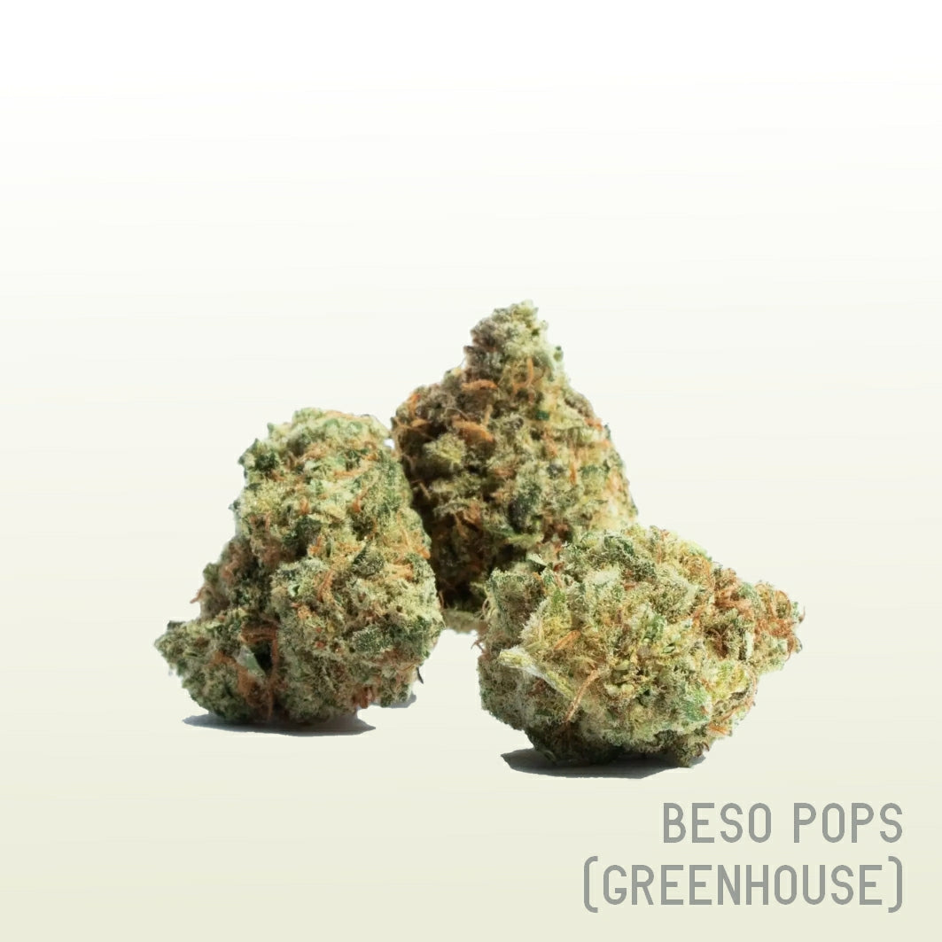 Beso Pops (Greenhouse)