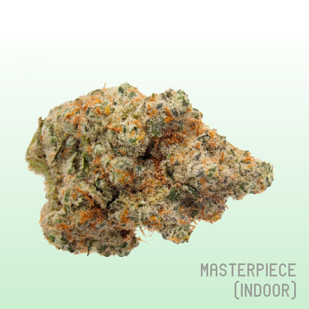 Masterpiece (Indoor)
