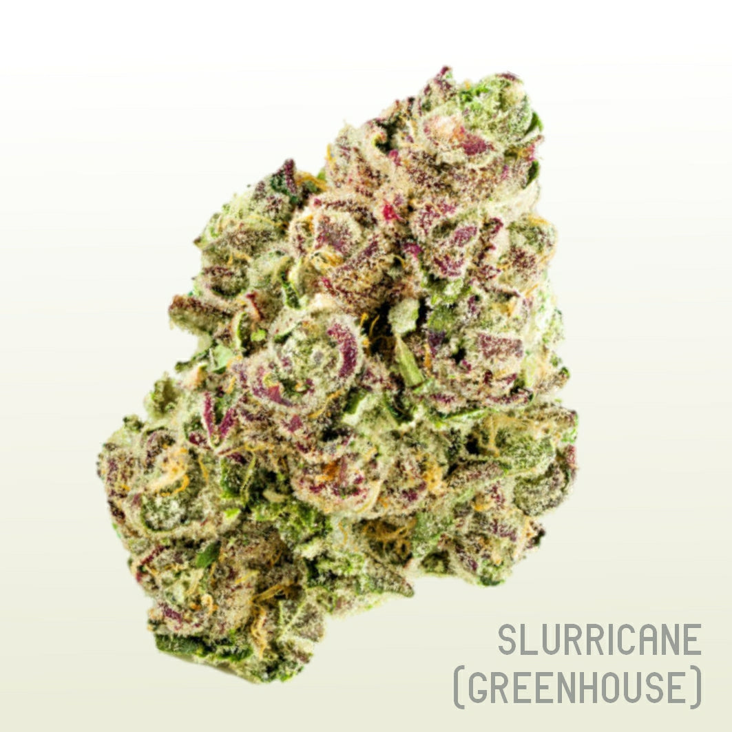 Slurricane (Greenhouse)