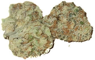 Critical Orange Kush Indoor 1g