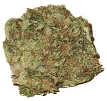 SlurriCake Greenhouse 1g