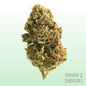 Dough Z (Indoor)