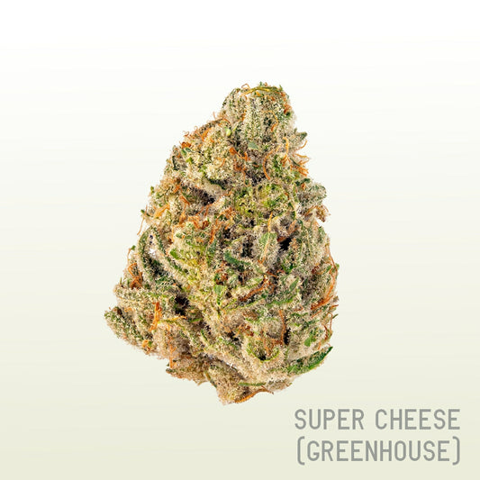 Super Cheese (Greenhouse)
