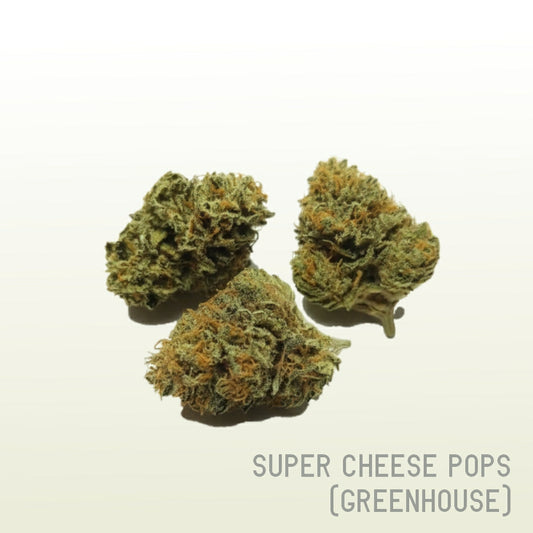 Super Cheese Pops (Greenhouse)
