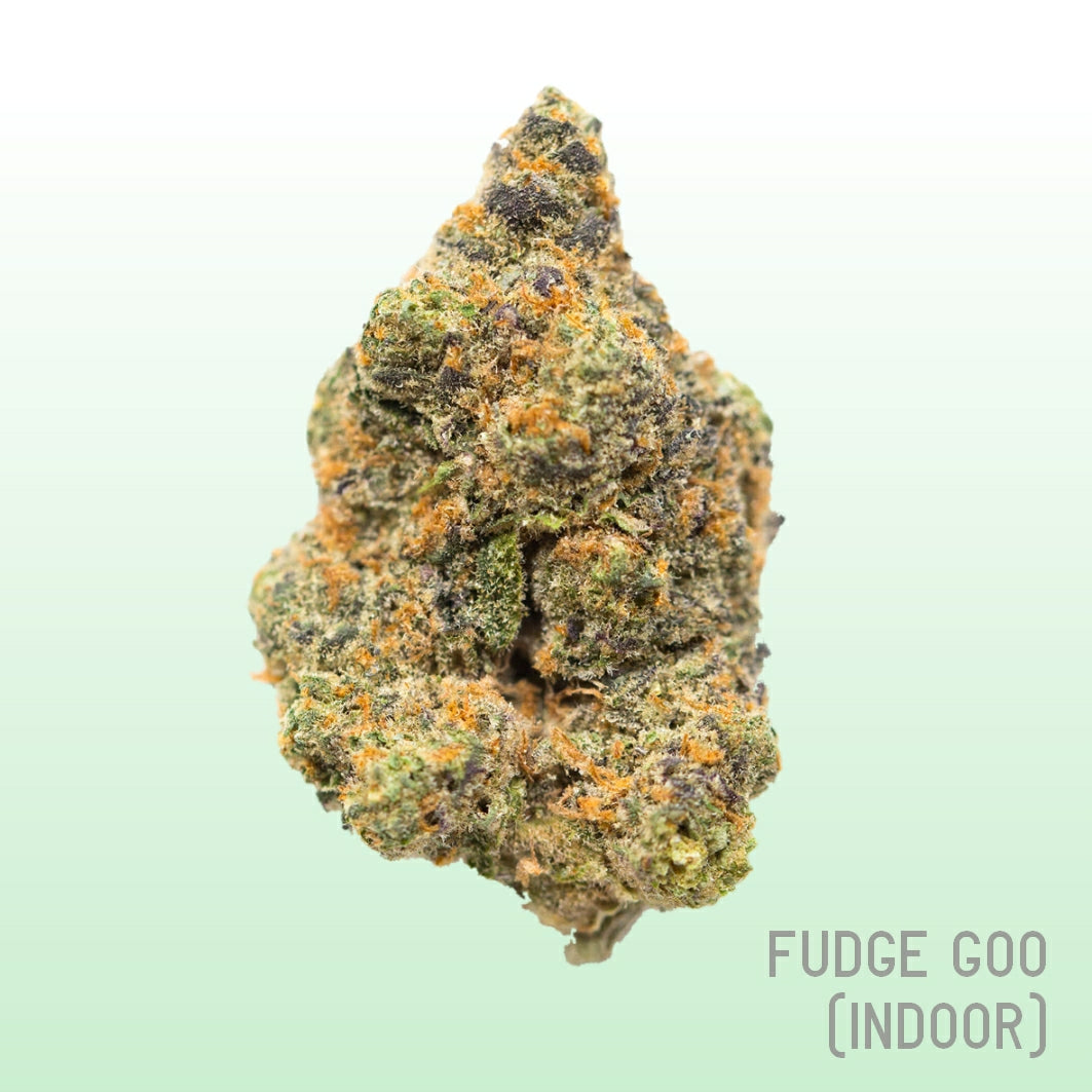 Fudge Goo (Indoor)