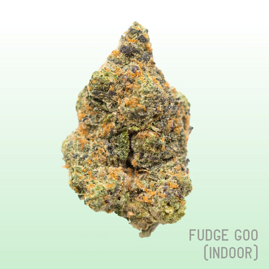Fudge Goo (Indoor)
