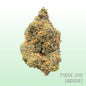 Fudge Goo (Indoor)