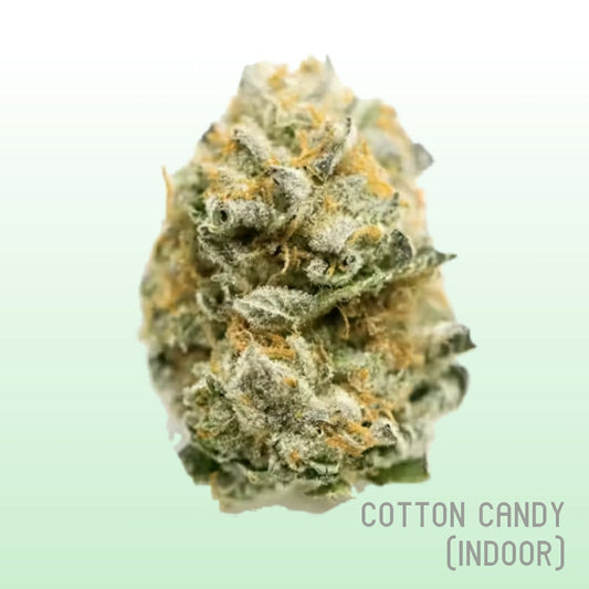 Cotton Candy (Indoor)