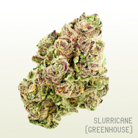 Slurricane (Greenhouse)