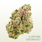 Slurricane (Greenhouse)