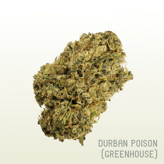 Durban Poison (Greenhouse)