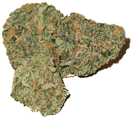 Lemon Zoap Indoor