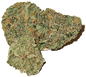 Lemon Zoap Indoor
