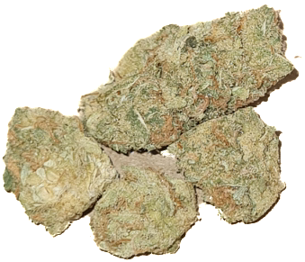 Premium Quality 1g Super Cheese Indoor