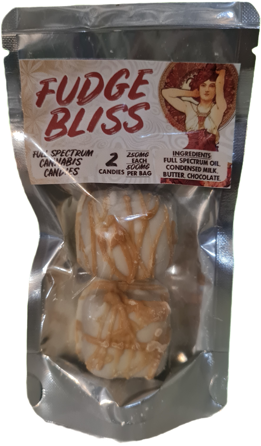 Fudge Bliss
