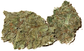 Blue Raz Greenhouse 1g