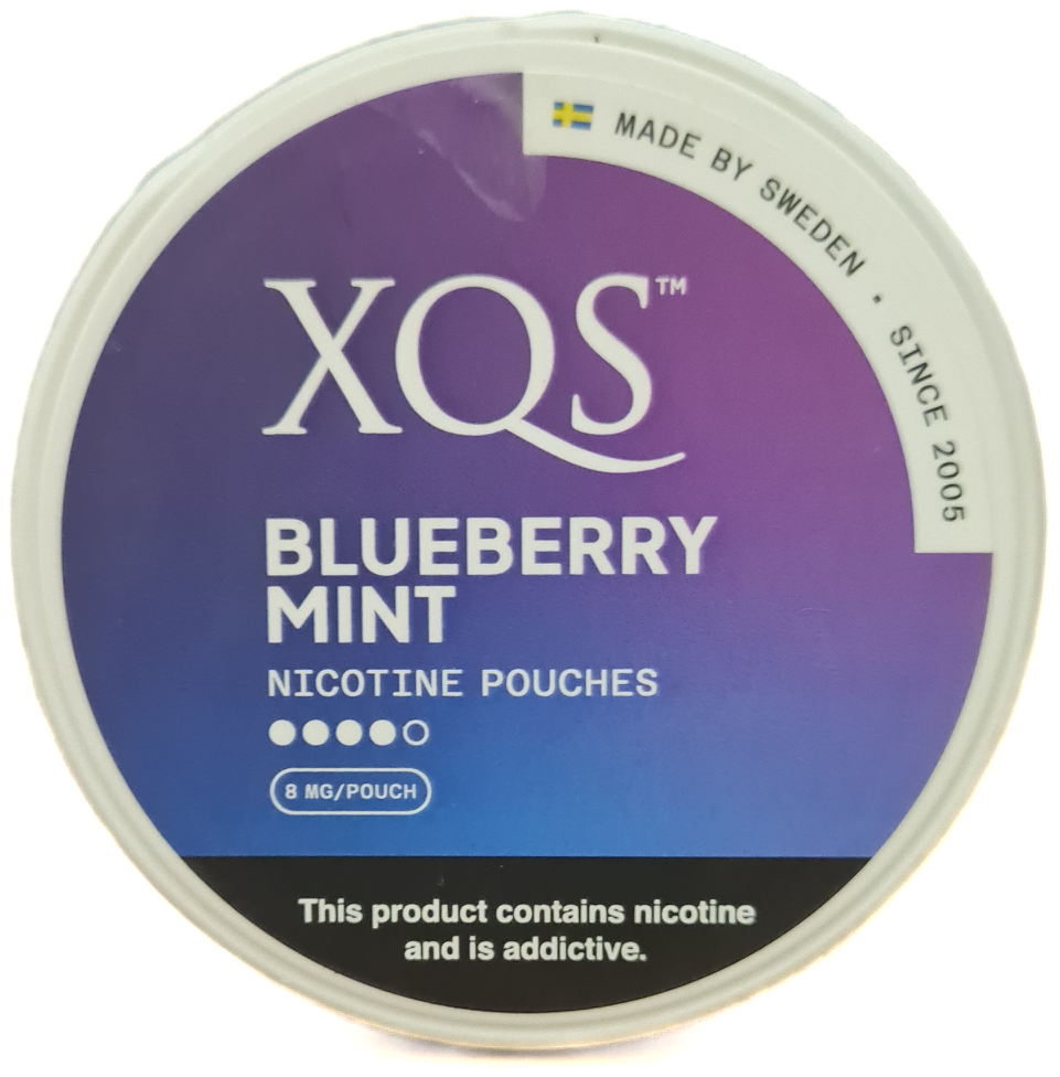 XQS Blueberry Mint
