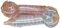 Pipe Glass Peanut