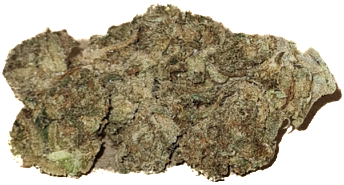 Strawberry Cough Outdoor 1g